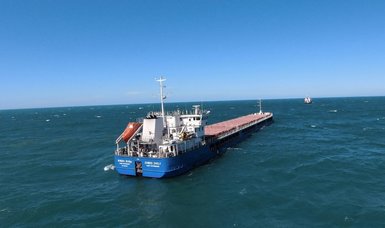 Türkiye halts Russian ship, investigates Ukrainian claims: senior official