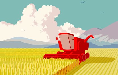 Tarımgıdaveiçeceksektöründen207milyardolarihracat