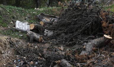 Israeli forces destroy Al-Yusufiye Cemetery in East Jerusalem to build garden