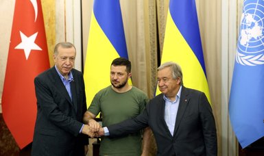 Zelensky appreciates Turkish counterpart Erdoğan for supporting Ukraine's territorial integrity