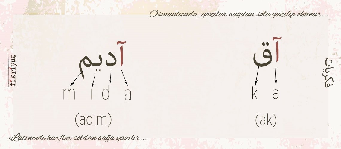 OKUMA ÖRNEĞİ