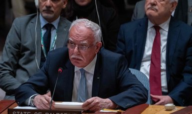 Failure of UN Security Council to stop massacres in Gaza 'inexcusable': Palestine
