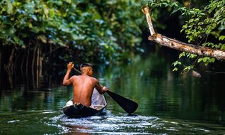 Bu kez çevre için güzel haberler var...