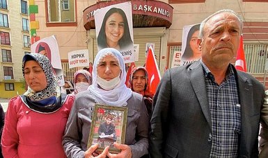 One more Kurdish family joins anti-PKK sit-in protest in southeastern Turkey