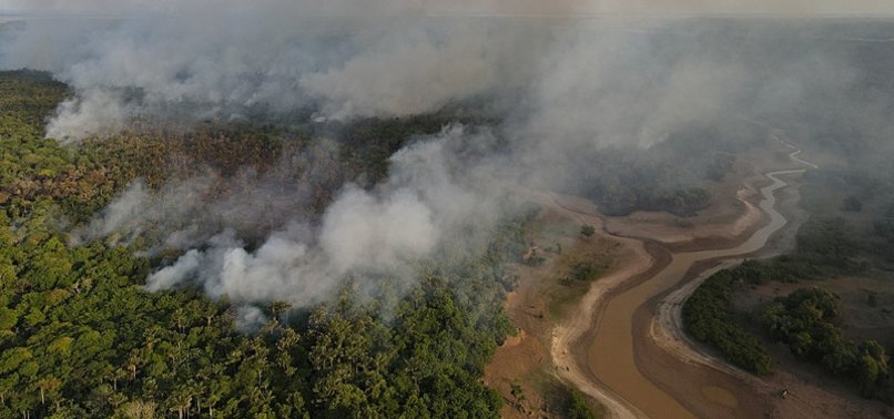 DEFORESTATION IN BRAZILS AMAZON DOWN 30% IN FEBRUARY