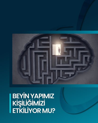 Harikalar Diyarı: Beyin