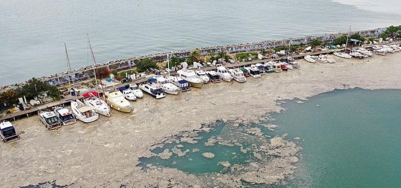 TURKEY UNVEILS ACTION PLAN TO COMPLETELY CLEAN MUCILAGE IN SEA OF MARMARA