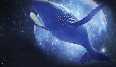 MARİFET İLTİFATA TABIDI R