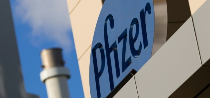 BRAZIL IN TALKS WITH PFIZER TO BUY COVID-19 VACCINE