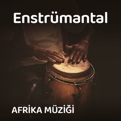 Enstrümantal Afrika Müzikleri