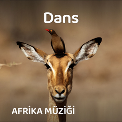 Afrika Dans Müzikleri