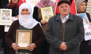 Another family joins sit-in against terrorist group PKK in southeastern Türkiye