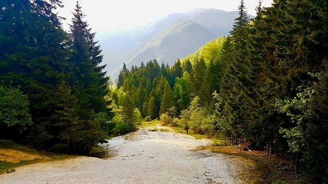 GİRESUN