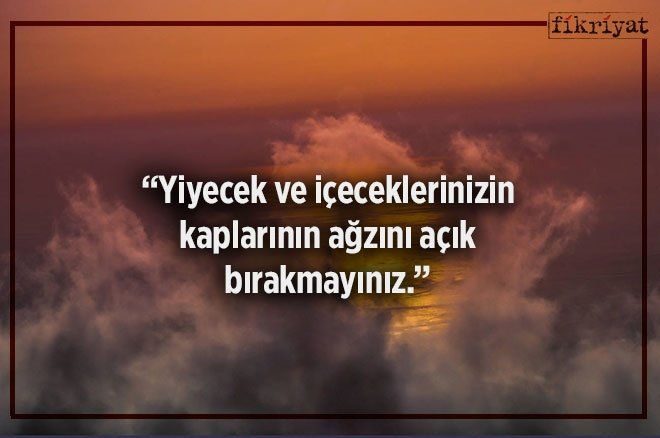 Peygamber Efendimizin Tibba Dair Onemli Hadisleri Galeri Fikriyat Gazetesi