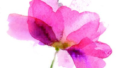 YENİ BİR SÜRECE BAŞLARKEN…