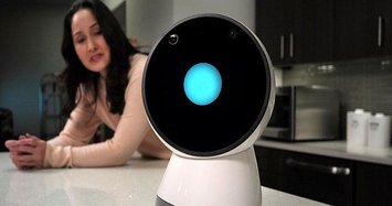 Are humans ready to invite social robots into their lives?