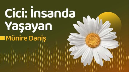 Cici: İnsanda Yaşayan