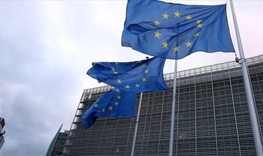 Ukraine's accession could cost EU up to $204 billion: Study