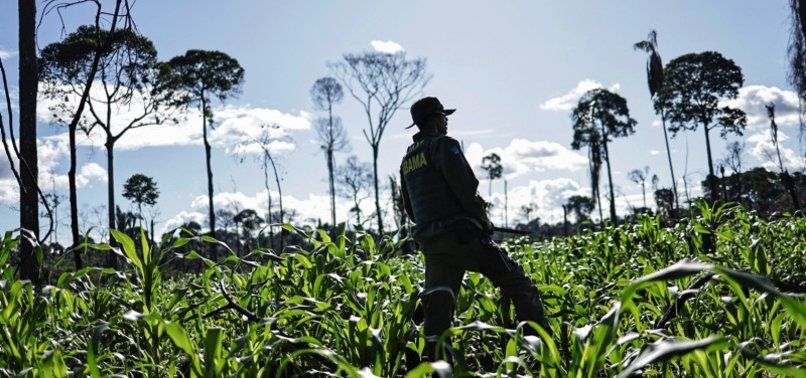 BRAZIL LAUNCHES FIRST ANTI-DEFORESTATION RAIDS UNDER LULA BID TO PROTECT AMAZON