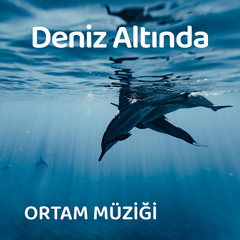 Denizin Altındaki Sır