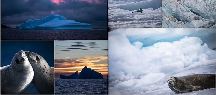 Bilim ve barış kıtası: Antarktika
