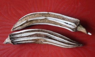 Kuru bamya altın değerinde