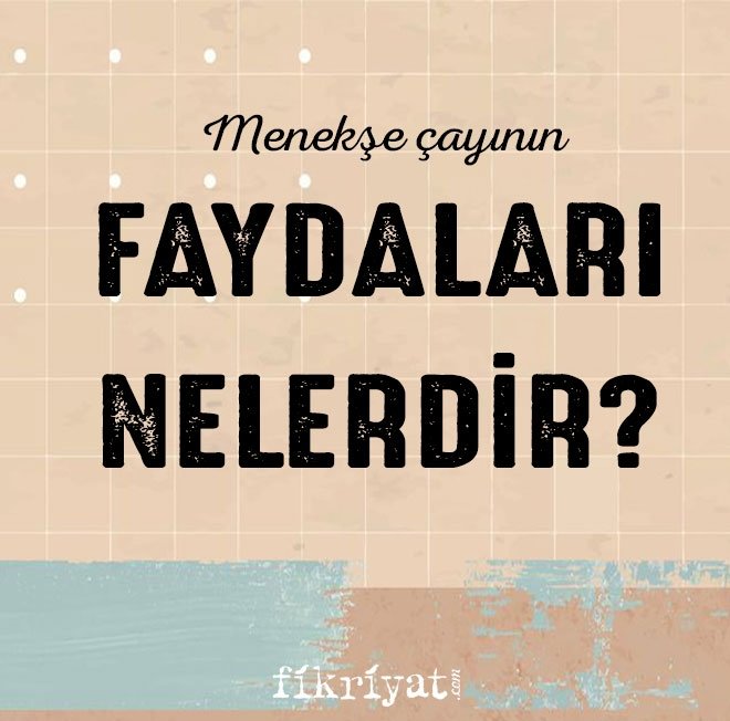 MENEKŞE ÇAYININ FAYDALARI NELERDİR?