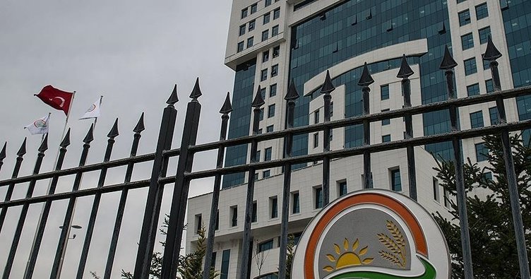 Tahıl tohumluklarının sertifikasyon işlemlerinde yeni dönem: Tohumluk Yönetim Sistemi kurulacak