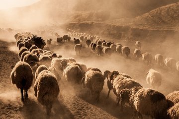 Bayrama hazırlık: Arefe