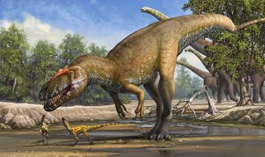 New dinosaur tracks from 113m years ago revealed by Texas drought