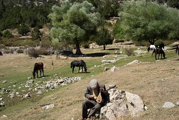 İrfan türkülerimiz