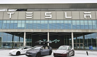 Locals reject Tesla plans to expand German plant outside Berlin