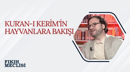 Kur'an-ı Kerim'in Hayvanlara Bakışı | Fıkıh Meclisi