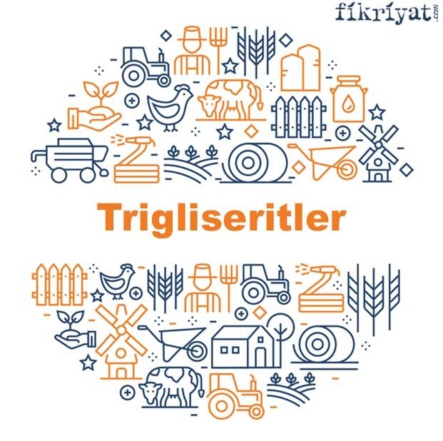 Trigliseritler