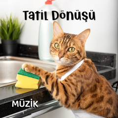 Tatil Dönüşü