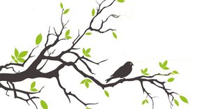 11 Kasım 11.11’de 11 milyon fidan