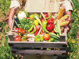 İzmit’in El Değmemiş Orman Köyü Fethiye’de Bir Çiftlik