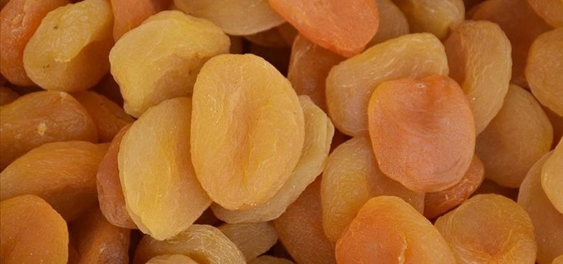 TURKEY EXPORTS DRIED APRICOTS TO 105 COUNTRIES