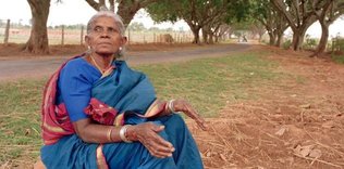 Çocuk değil ama ağaç yetiştirdi