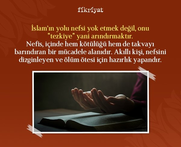 Nefsi Öldürmek mi, Terbiye Etmek mi?