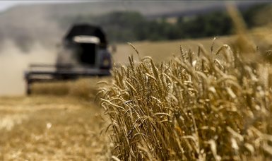 EU proposes hitting Russia, Belarus grain imports with tariffs