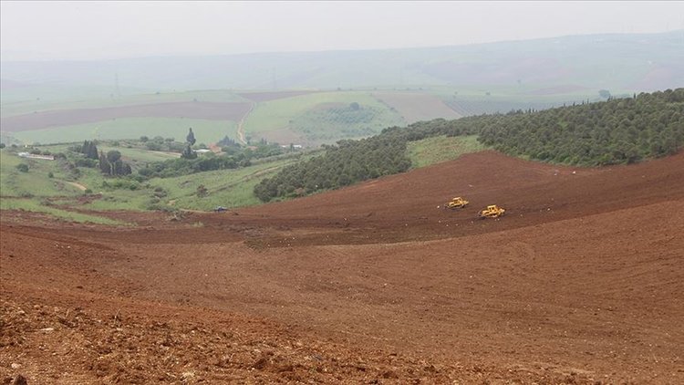 Bozuk orman arazilerinde ’gelir getirici türler’ yeşerecek