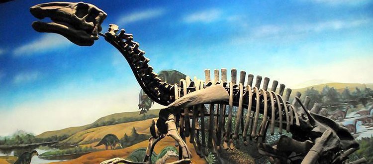 Güney Afrika’da yeni dinozor türü keşfedildi