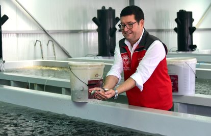 MuğlanınahrefindexsuurunlericlasstkktLnktargetblanksuürünleriaihracatı500milyondolarayaklaştı