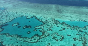 Great Barrier Reef 'died 5 times' in past 30,000 years, study says