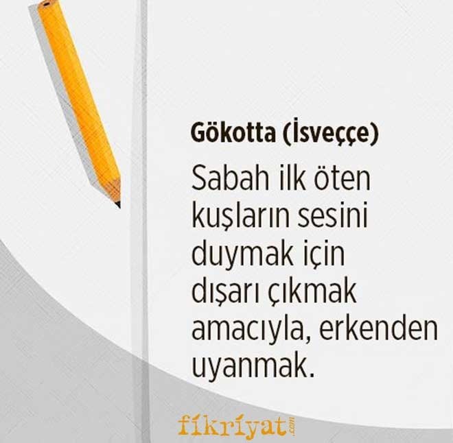 Dilimizde Karsiligi Olmayan 22 Kelime Galeri Fikriyat Gazetesi