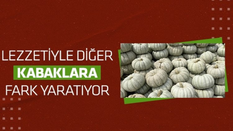 Lezzetiyle diğer kabaklara fark atıyor