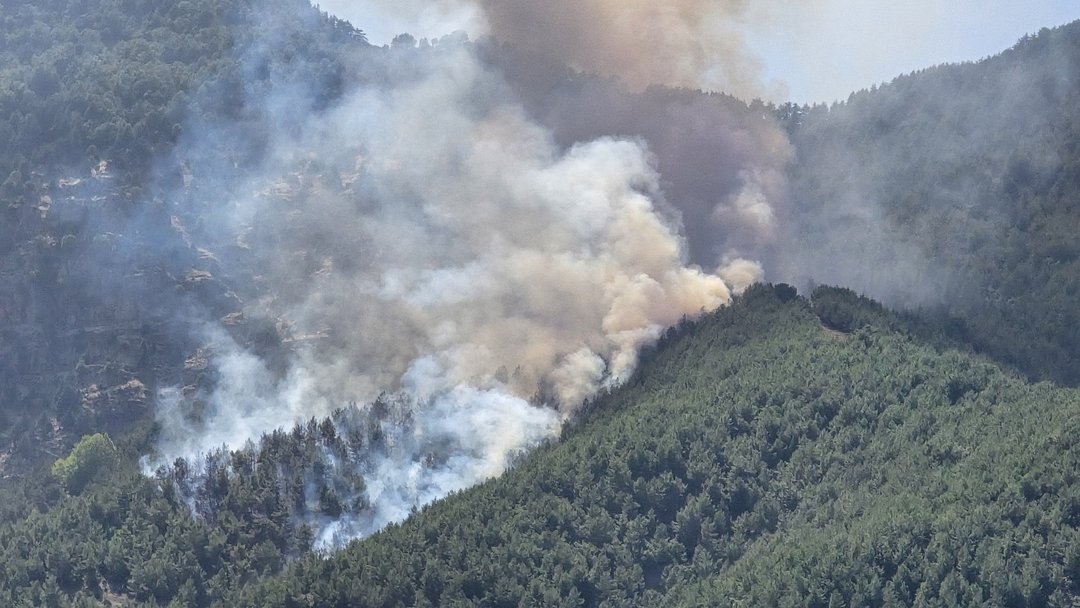 HATAY’DA ORMAN YANGINI
