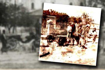 Köpeklerin ahı