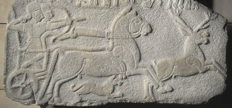 TURKEY EYES RETURN OF KINGS DEER HUNT